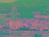 IMGP2800 edited (Medium)